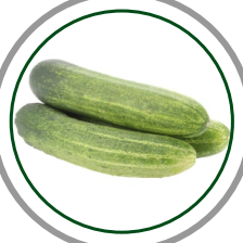 cucumber