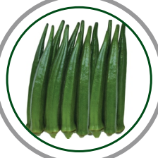 okra