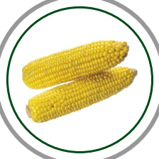 sweetcorn