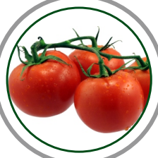 tomato